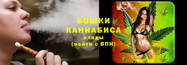 Альфа ПВП Бородино