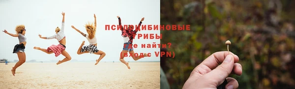 бутират Богданович